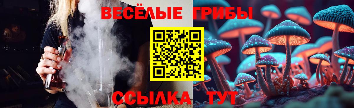 Галлюциногенные грибы Psilocybe Мыски