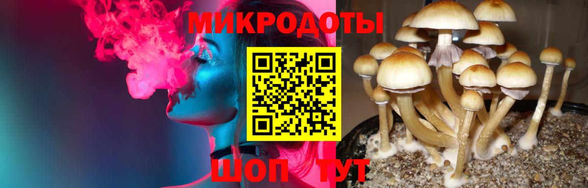 Псилоцибиновые грибы GOLDEN TEACHER  Галлюциногенные грибы GOLDEN TEACHER  Мыски  Вход с VPN 