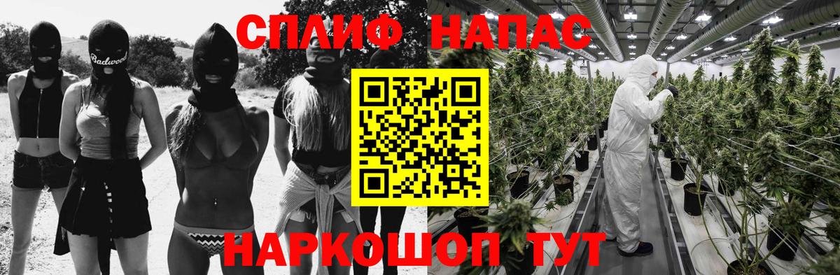 Шишки марихуана семена  Шишки марихуана индика  Мыски  Канабис OG Kush  Вход с VPN  Марихуана семена 